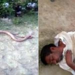 I will kill you before you kill me, Man bites off snake’s head in revenge A farmer in northern India reportedly chewed off a snake’s head in revenge after the reptile bit him, with his attending doctors saying they had never come across such a bizarre case, a local media reported on Wednesday.