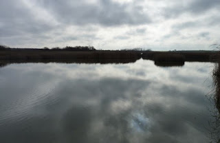 Las Tablas de Daimiel, provincia de Ciudad Real. Las Tablas de Daimiel, provincia de Ciudad Real.