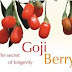 Wonderful Goji Nature