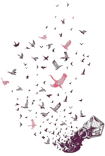 Total PhotoScape: Pássaros em PNG