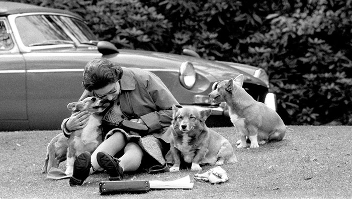 60 Inspiring Historic Pictures That Will Make You Laugh And Cry - Queen Elizabeth With Her Much-Loved Corgis Watching The Royal Windsor Horse Show, 1973