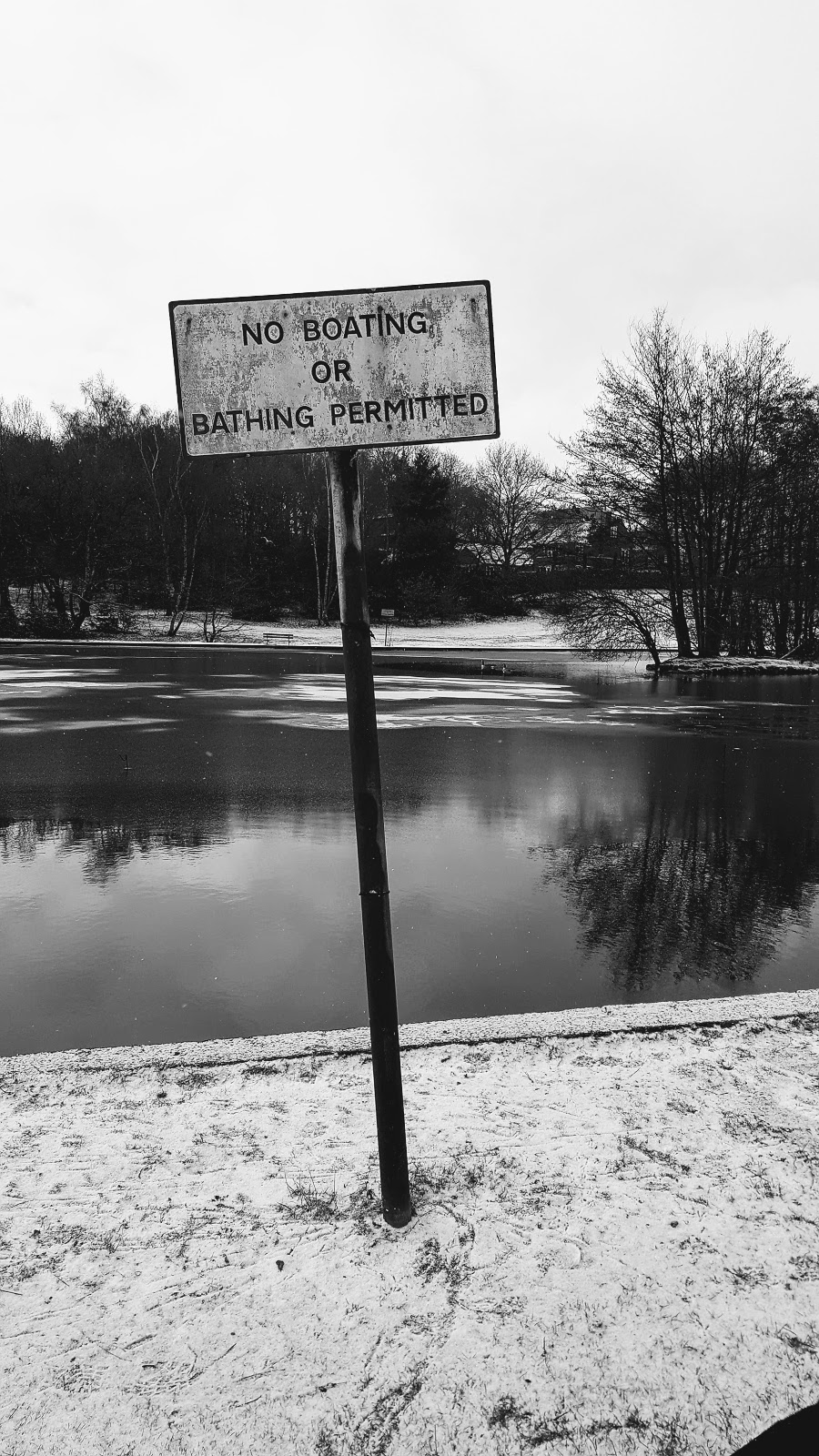 Snow Dog: The Wordless Or Not So Wordless Wednesday Link Up Snow Dog: The Wordless or not so Wordless Wednesday Link Up