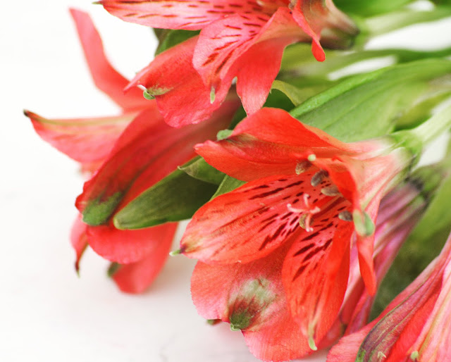 Lovelaughslipstick blog dating disasters red flowers