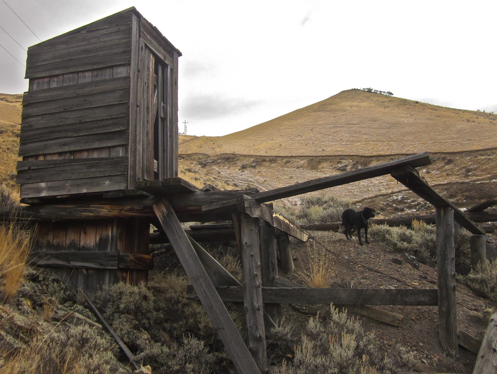 EcoRover Montana Megafauna; A Hike in the Hills