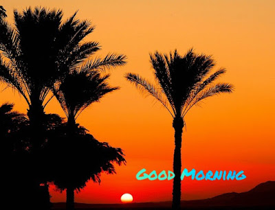 good morning images for whatsapp free download good morning images for whatsapp free download