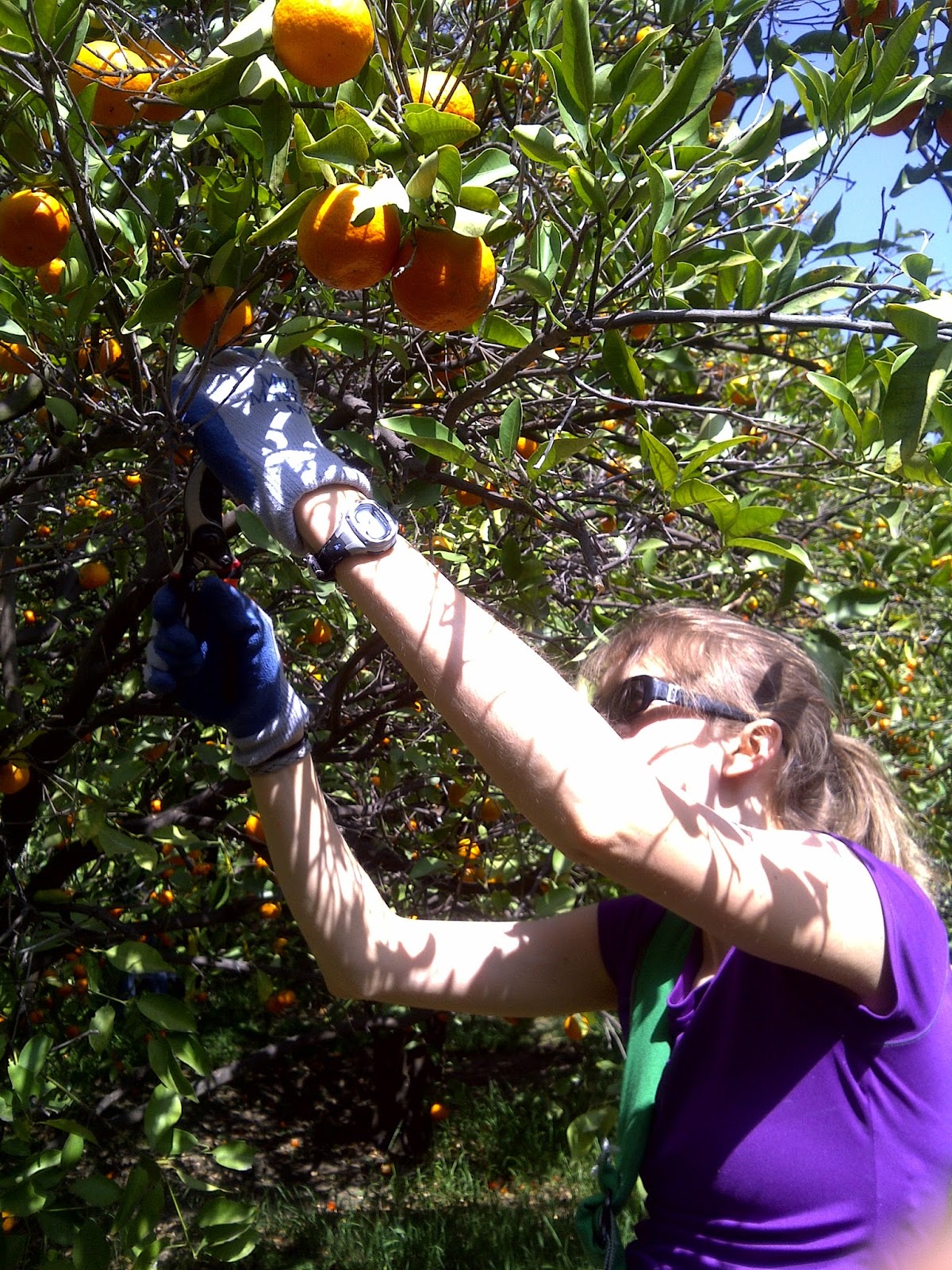 Shine Beauty Beacon Spring SPF Make the Most of Community Giving