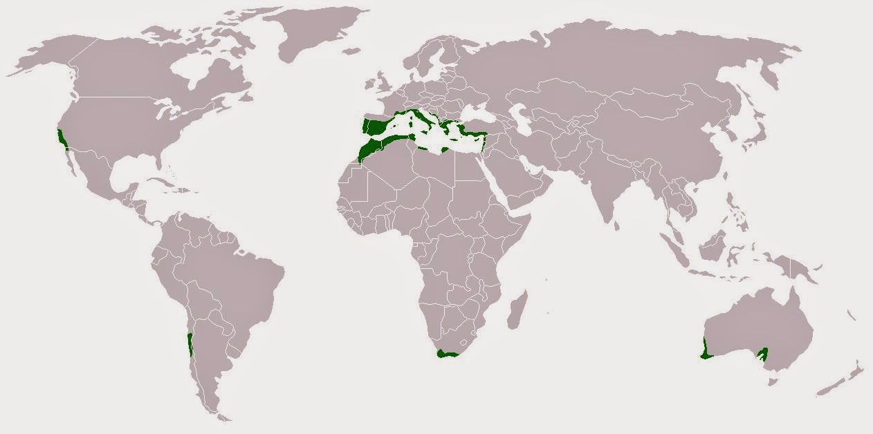 Scelsablog: Le regioni a clima temperato
