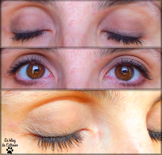 Matte Eye Too Faced Day Jour