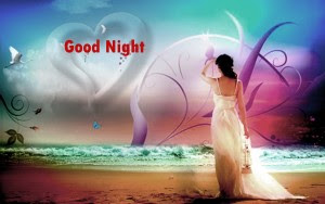 good night good night