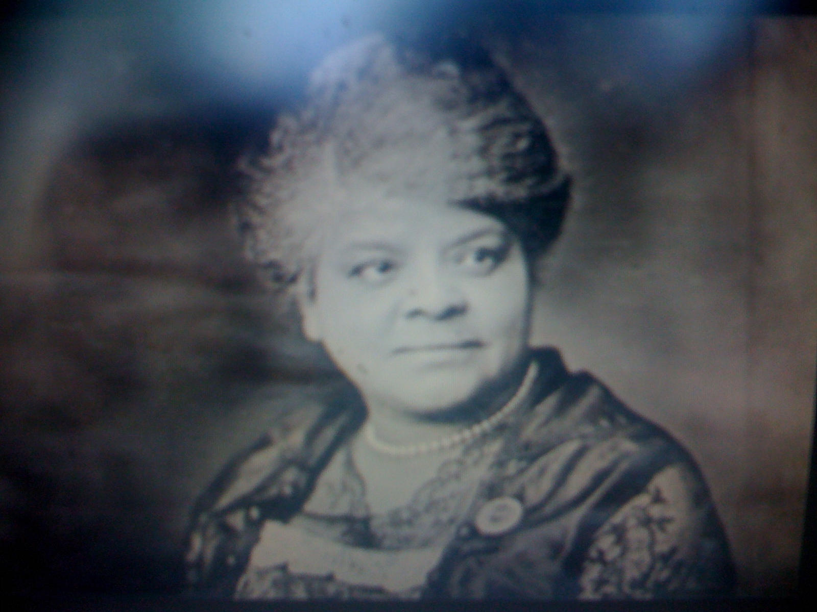 THE BLACK SOCIAL HISTORY BLACK SOCIAL HISTORY IDA BELL WELLs