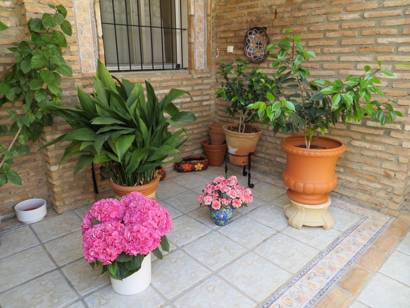 CPR.BEMBEZAR: LOS PATIOS DE CÉSPEDES