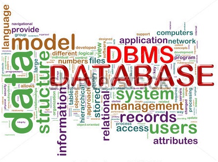 dbms