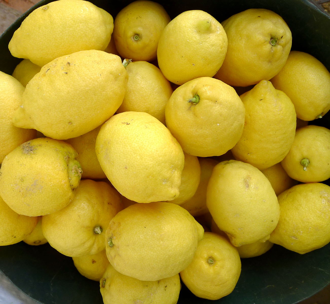 MY KITCHEN IN SPAIN HERBAL REFRESHMENT