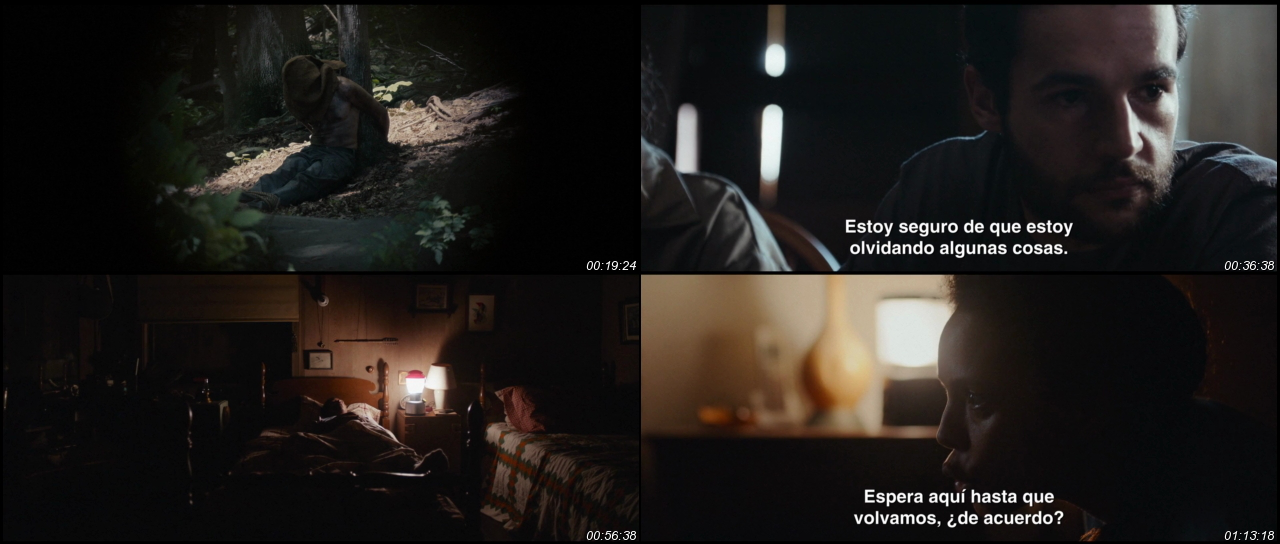 It Comes at Night 2017