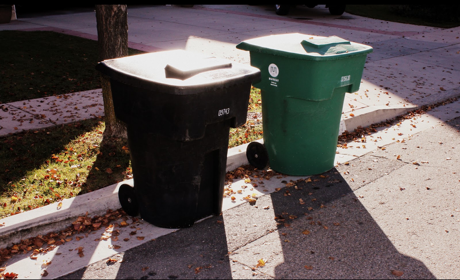 BARE RECORD OF TRUTH 117 PARABLE OF THE TRASH CANS