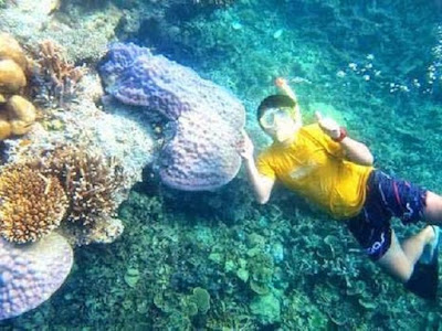 Spot Snorkeling in the Seribu Islands