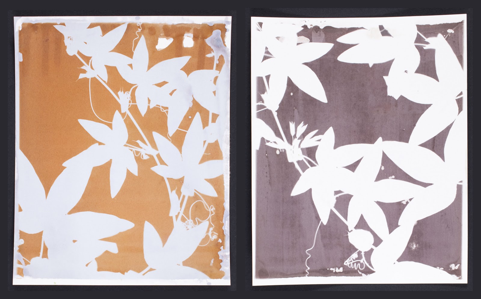 XRay Fluorescence Analysis of Photographic Materials Stabilization