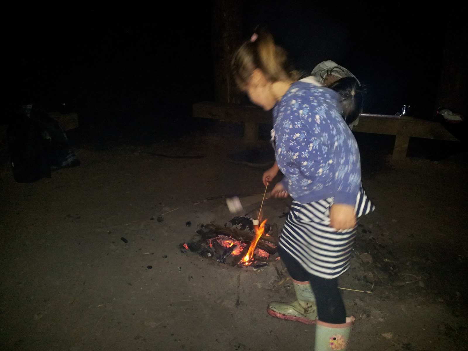 , Celebrating The New Year in the Woods #CountryKids