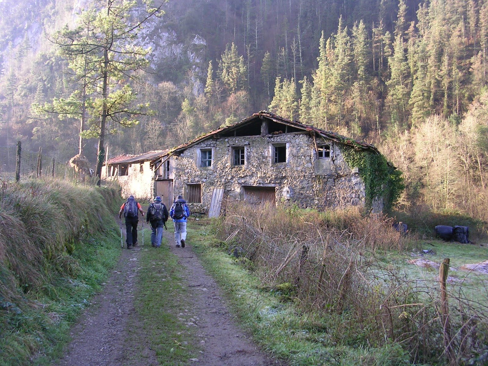 laukoak-20120118-zestoa-aizarna-sta-engrazi-zestoa