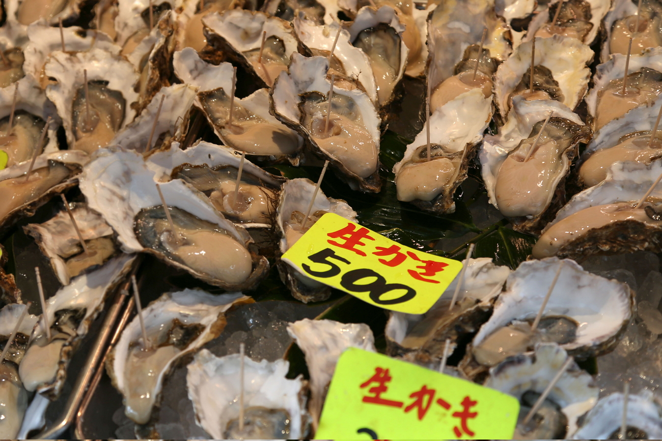 Чуть чуть японии. Япония рыбный рынок Цукидзи. Рыбный рынок в Японии. Рыбный рынок в Токио.