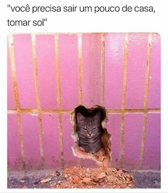 Memes engraçados Memes engraçados
