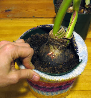 πουλόβερ, ανακύκλωση, ανανέωση ρουχων, μόδα, χειμωνιάτικα ρούχα, ράψιμο, μεταποίηση παλιών ρούχων, παλιό πουλόβερ, vintage ρουχα, γλάστρα,φωτιστικό, φτιάξτο μόνος σου, μαξιλάρι, μαξιλαροθήκη,καναπές, χειμωνιάτικη διακόσμηση, φθινοπωρινή διακόσμηση, ιδέες διακοσμησης, οικονομικές ιδέες για το σπίτι sweater, recycling, clothes renewal, fashion, winter clothes, sewing, old clothes processing, old sweater, vintage clothes, flower pot, lamp, self-made, pillow, pillowcase, sofa, winter decoration, autumn decoration, decoration ideas, economic ideas for home