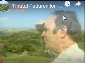 Dragan Muntean - repere biografice