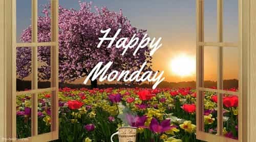 good-morning-with-flowers good morning with flowers
