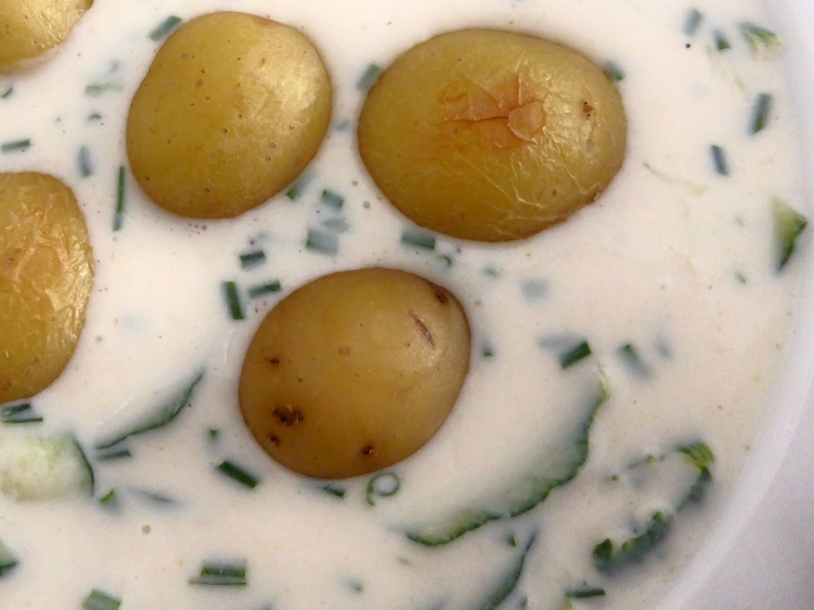 VEGAN - GO FOR IT: GURKENSUPPE MIT MINIKARTOFFELN