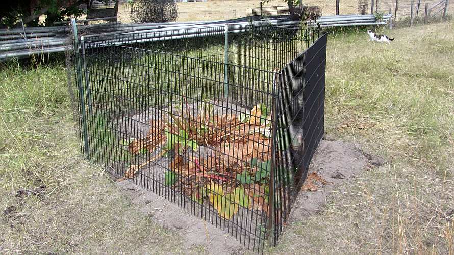 Life among the Tall Pines Protecting trees from the horses