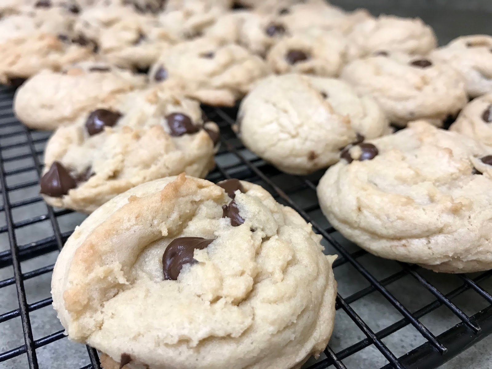 Tins and Treasures Whatcha Workin' on Wednesday A Week's Study in