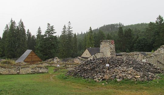 Ruiny klasztoru kartuzów. Ruiny klasztoru kartuzów.