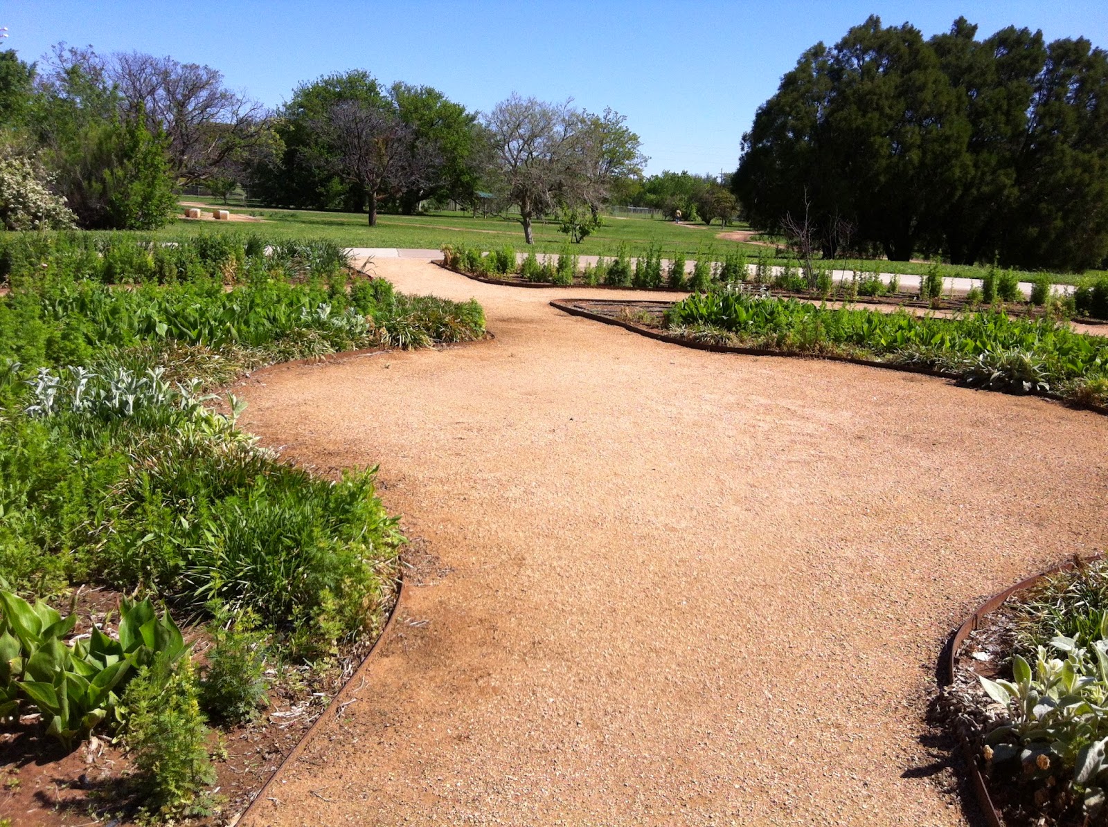 My Strolling Garden Lubbock Arboretum Plant Sale 2015