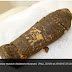 Mystery Of The Tiny Egyptian Mummy