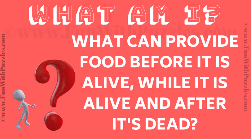 Clever Riddle for Adults with an Answer