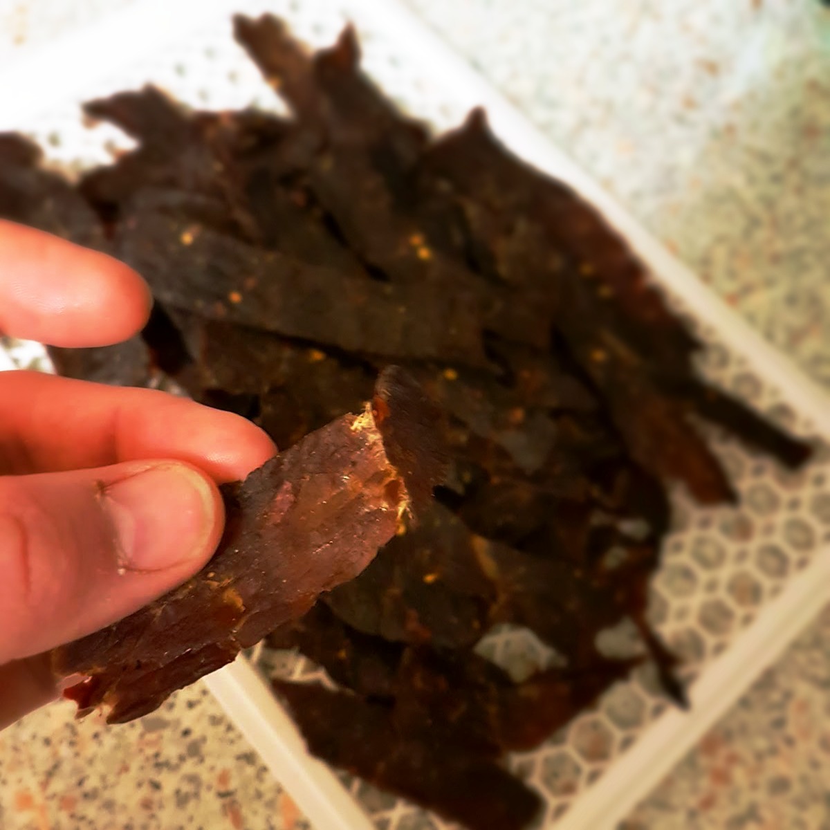 Reviews, Chews & HowTos Dehydrated Beef Jerky