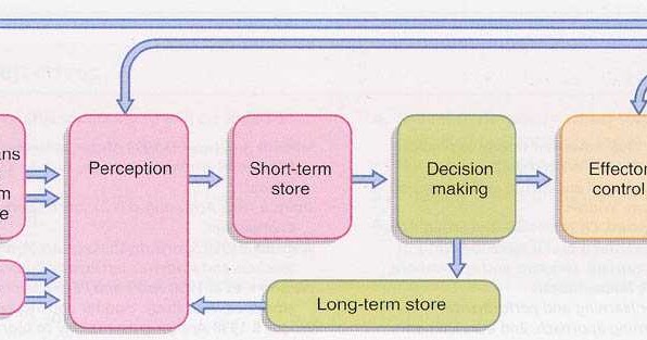 Skill Acquisition