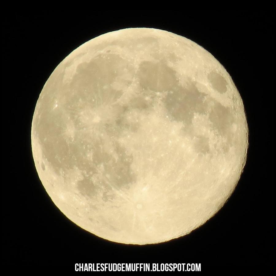 How many times would you have to fold a sheet of paper in half for it