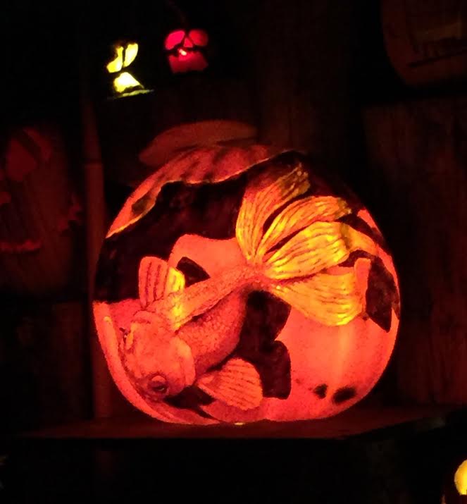 Jack-O-Lantern Spectacular