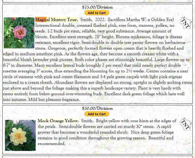 My Enchanting Cottage Garden 10 Best Fragrant Roses For Your Garden