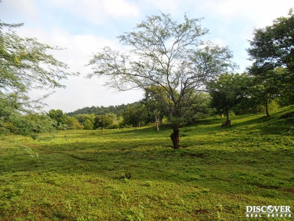 Nicaragua Farms for Sale Nicaragua Land for Sale Farm for sale in
