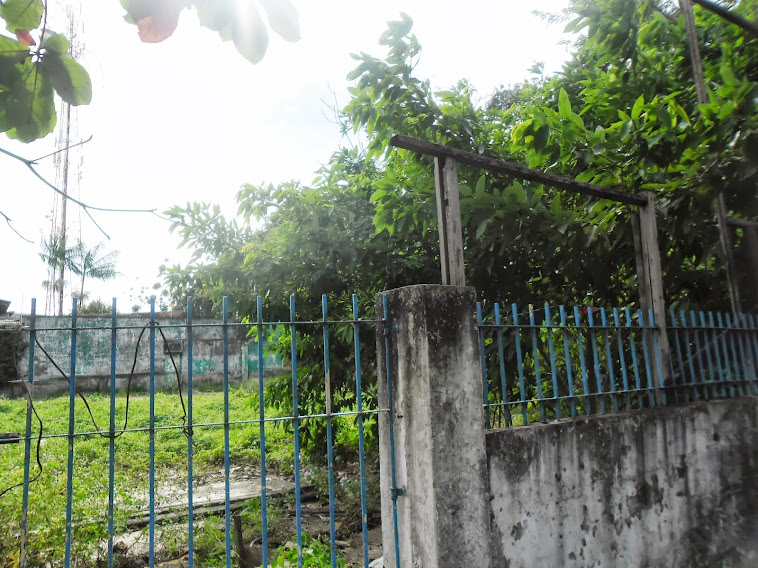 ESCOLA DE MUSICA WALQUIRIA LIMA