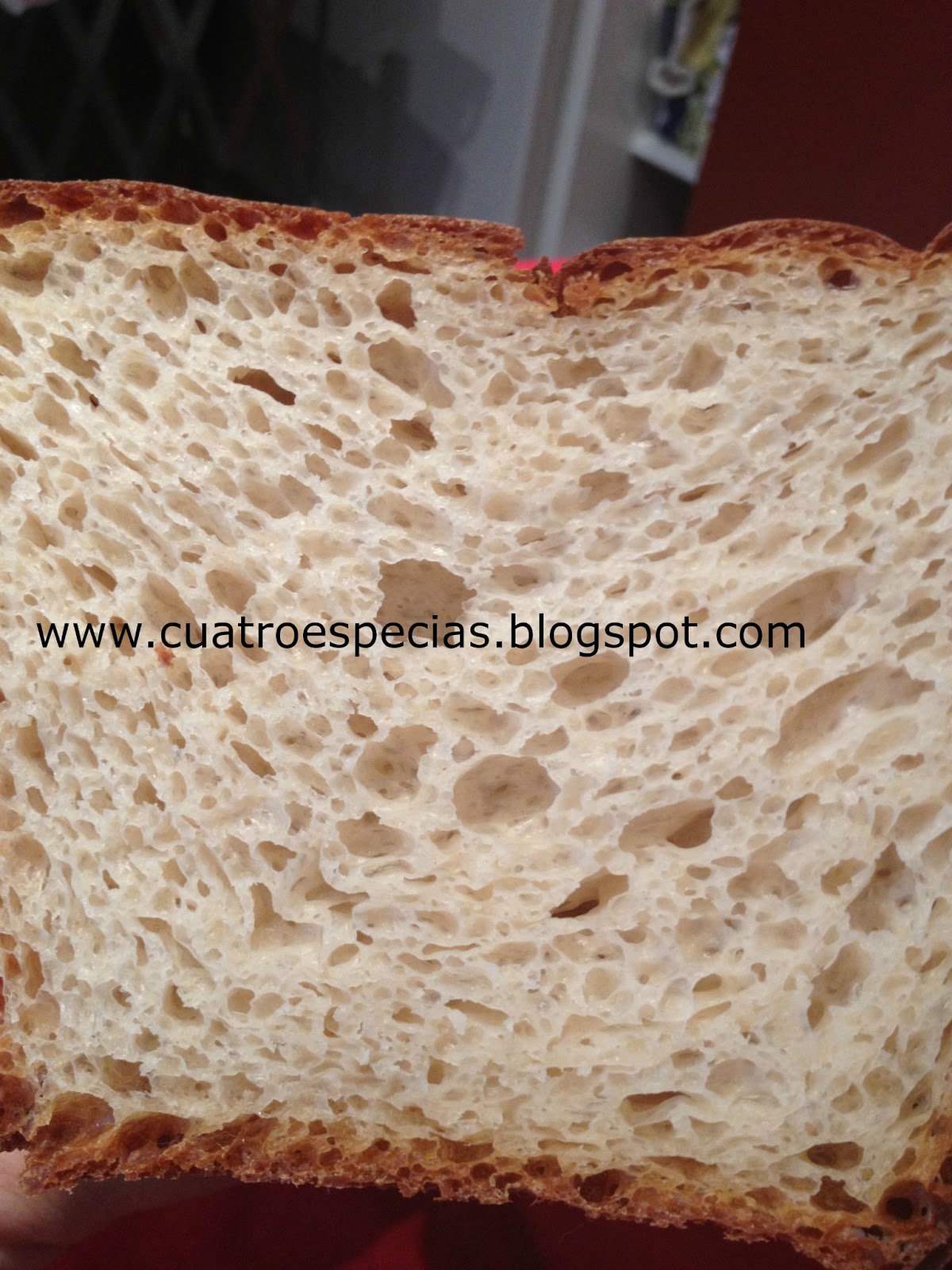 CUATRO ESPECIAS por ELENA ZULUETA DE MADARIAGA PAN DE MOLDE CON YOGURT