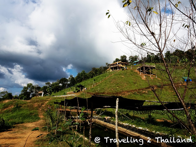 Garden of Baan Suan Doi Phiang Pui Farm & Homestay Ban Sakad, North Thailand Destination Travel Guide Nan, North Thailand