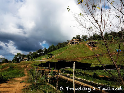 Garden of Baan Suan Doi Phiang Pui Farm & Homestay Ban Sakad, North Thailand Accommodation in Thailand by Traveling 2 Thailand