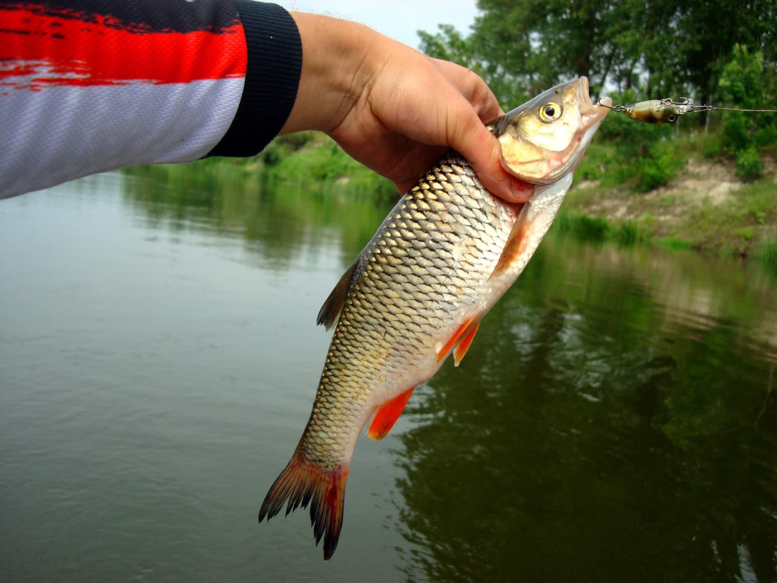 рыбалка балабаново