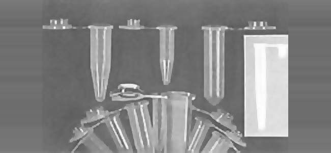 Micro-Centrifuge Tube P.P w/Cover Slip 微量尖底附蓋離心管