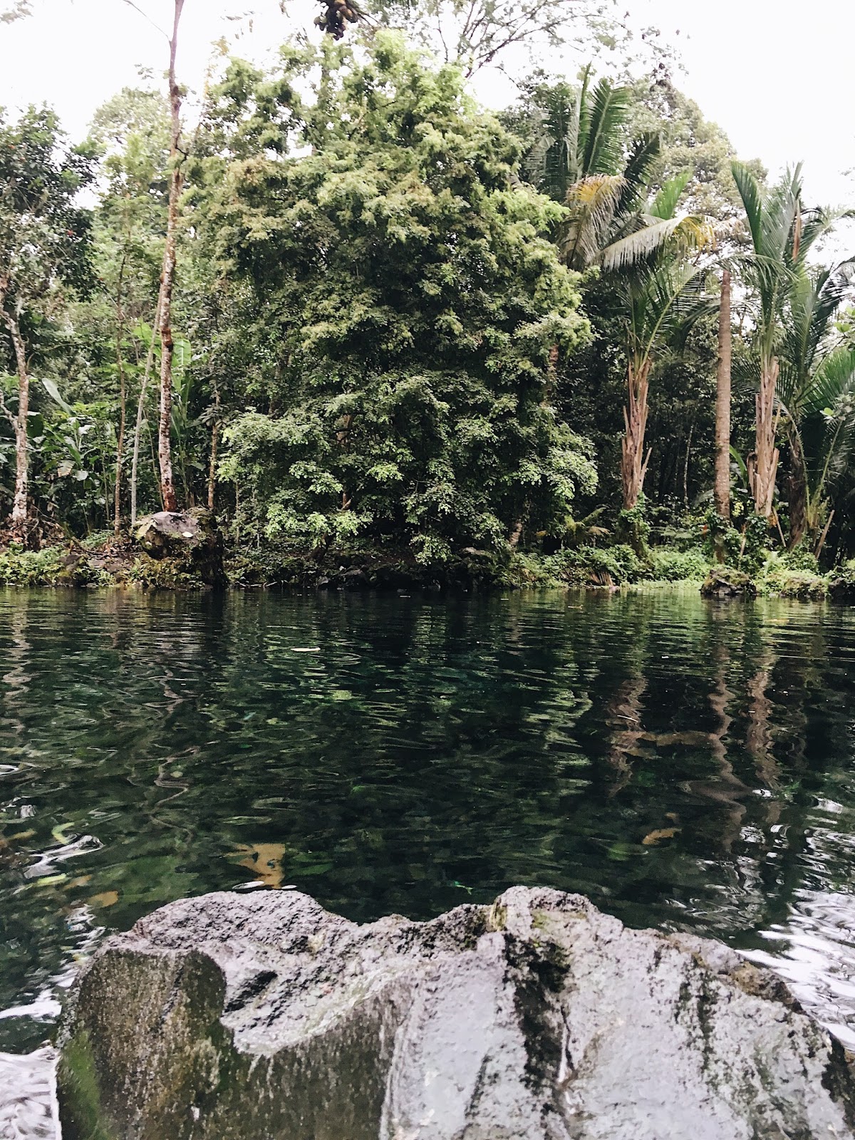 Berenang di Telaga Nilem Kuningan: Kolam Alami yang ...