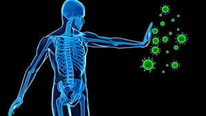 Oranges are immune boosters ,immunity