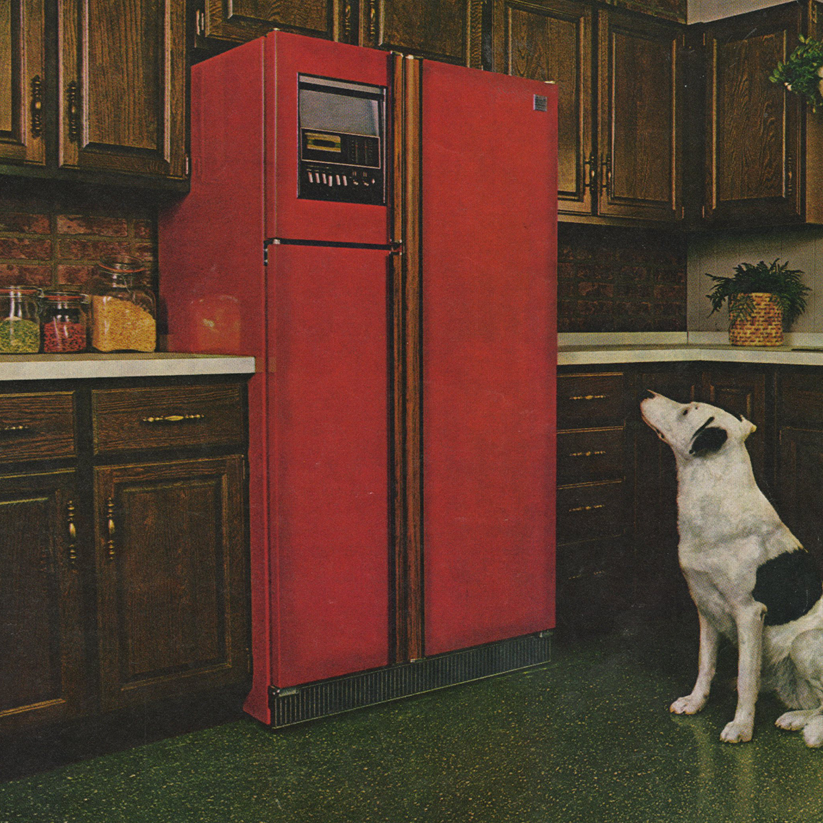 Poppy Red